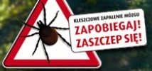 kleszcze kleszcze