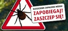 kleszcze kleszcze